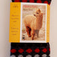 Alpaca Socks-Polka Dot