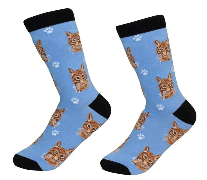 Pet Socks